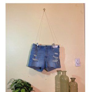 Hollister Distressed NWT Jean High Rise Shorts Size 11 W 30 New With Tags
